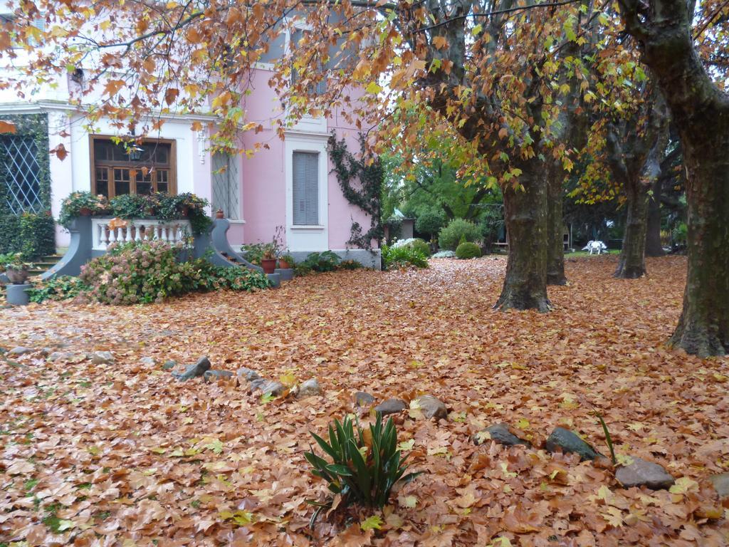 Hotel Alihuen Sierra de la Ventana Extérieur photo